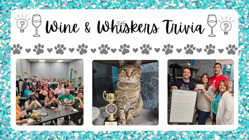 Wine & Whiskers Trivia