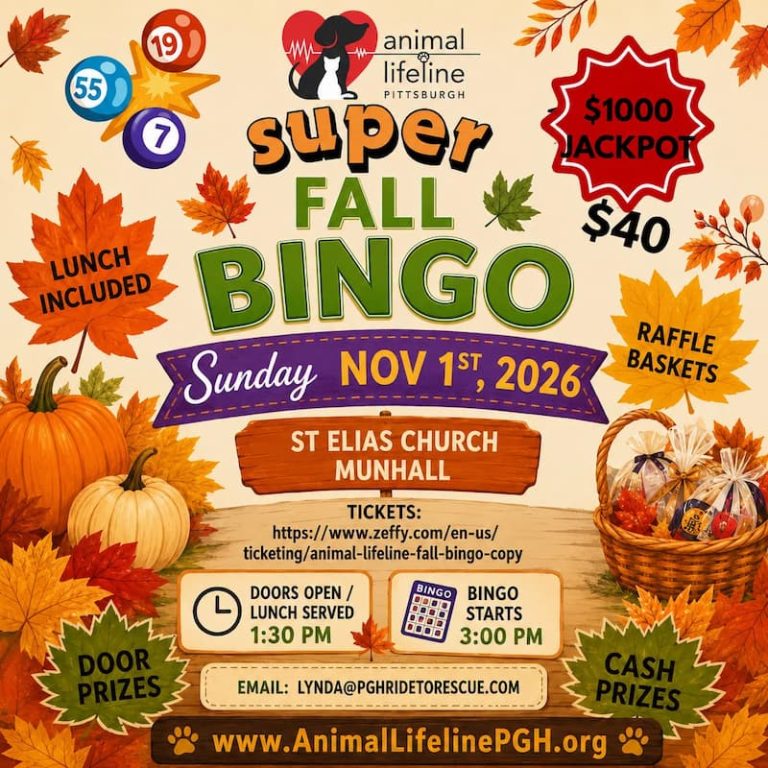 Animal Lifeline Pittsburgh Fall Bingo Nov 1 2026