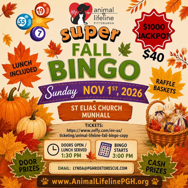 Animal Lifeline Pittsburgh Fall Bingo Nov 1 2026