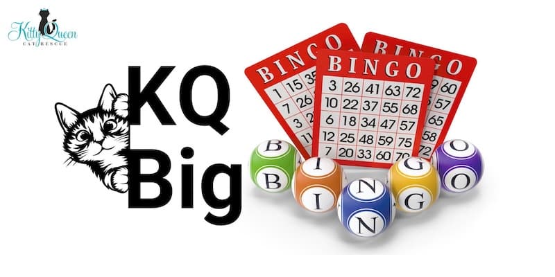 Kitty Queen Bingo