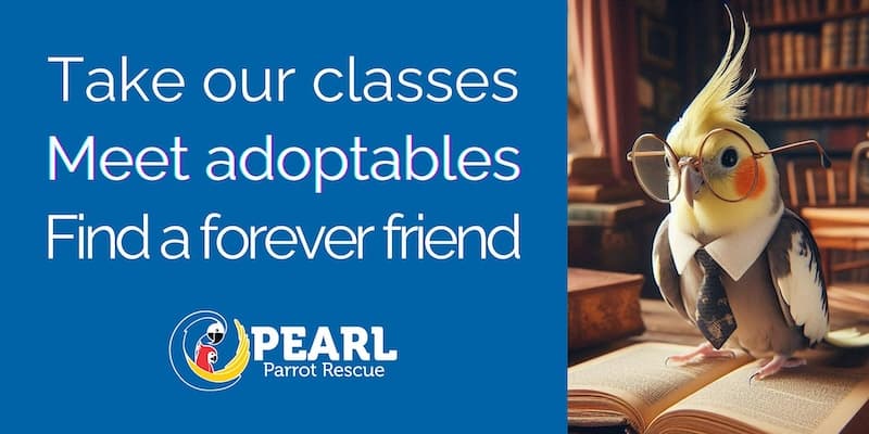 PEARL Adoption/Parrot Standards of Care Class