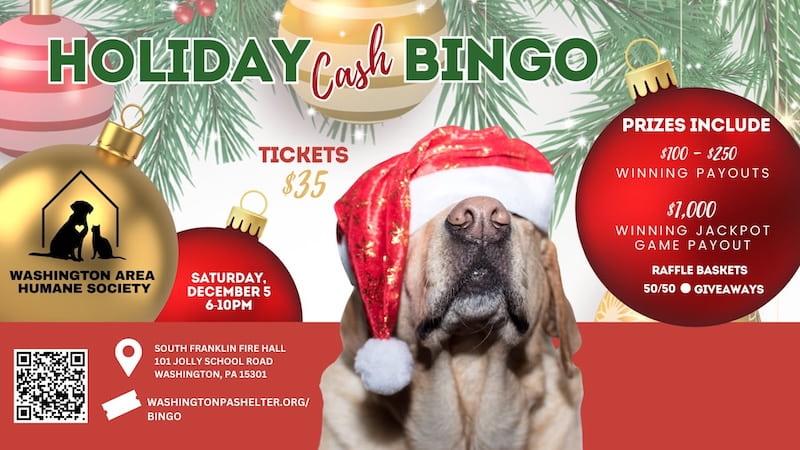 Washington Area Humane Society Holiday Cash Bingo