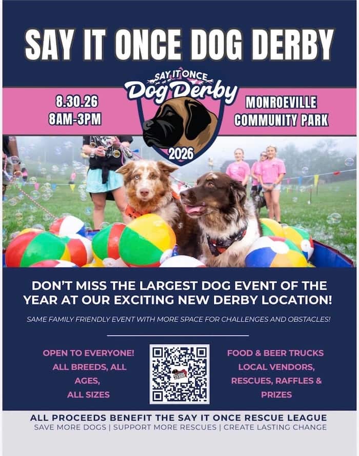 Say It Once Dog Derby