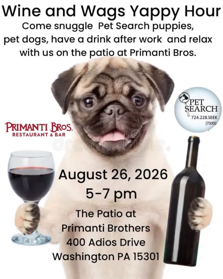 Pet Search Wine and Wags Yappy Hour Aug 26 2026