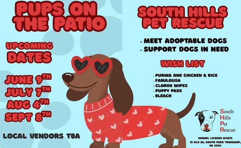 Pups on the Patio Adoption Event Sept 8 2026