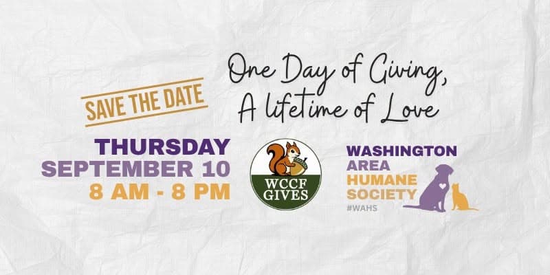 WCCF Gives Day September 10th, 2026 - Donate to the Washington Area Humane Society
