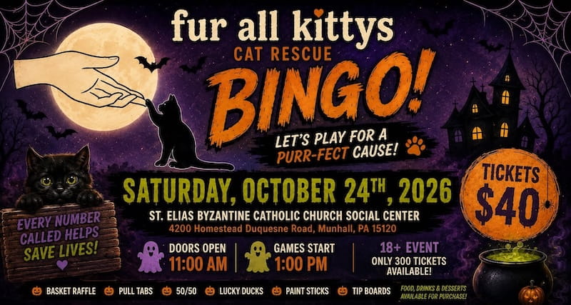 Fur All Kittys Fall Bingo