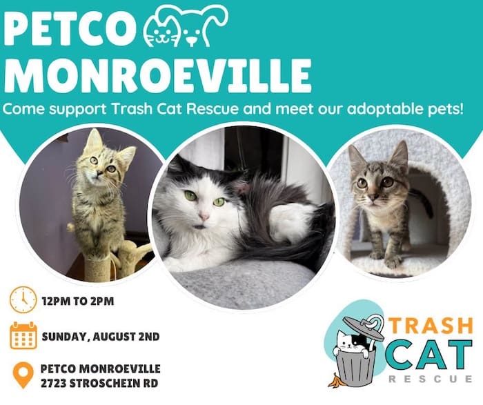Trash Cat at Petco Monroeville Sept 13 2026