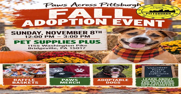 Paws Across Pittsburgh Fall Adoption Event