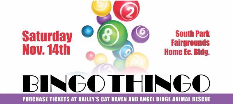 Bingo Thingo Saturday Nov 14th at South Park Fairgrounds Ec Bldg