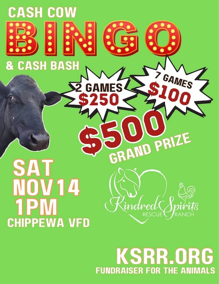CASH COW BINGO AND CASH BASH