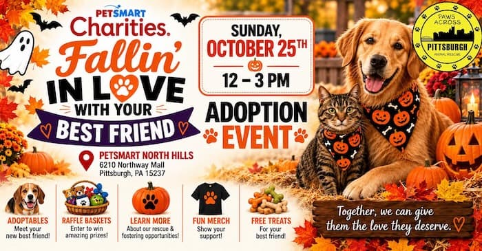 Fallin’ in Love with Your Best Friend – Halloween Adoption Event