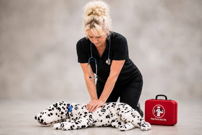 Pet CPR & First Aid Certification Class Alliquippa, PA